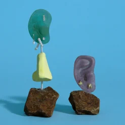 French For Goodnight Stud