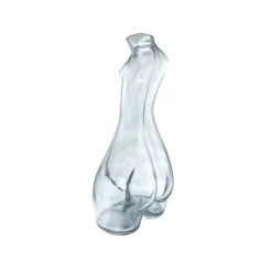 Glass Carafe (Clear)