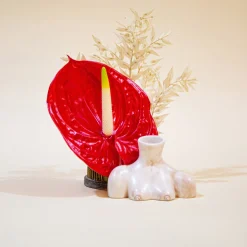 Little Women Duo (Black, Marble)