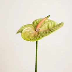 Love Heart Mother Of Pearl Signet Ring