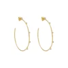 Razzle Dazzle Hoop Earrings