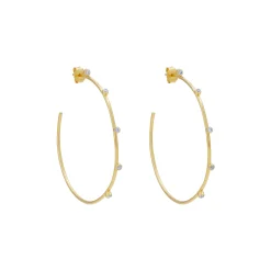 Razzle Dazzle Hoop Earrings
