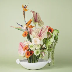 White Noise Ear Bowl